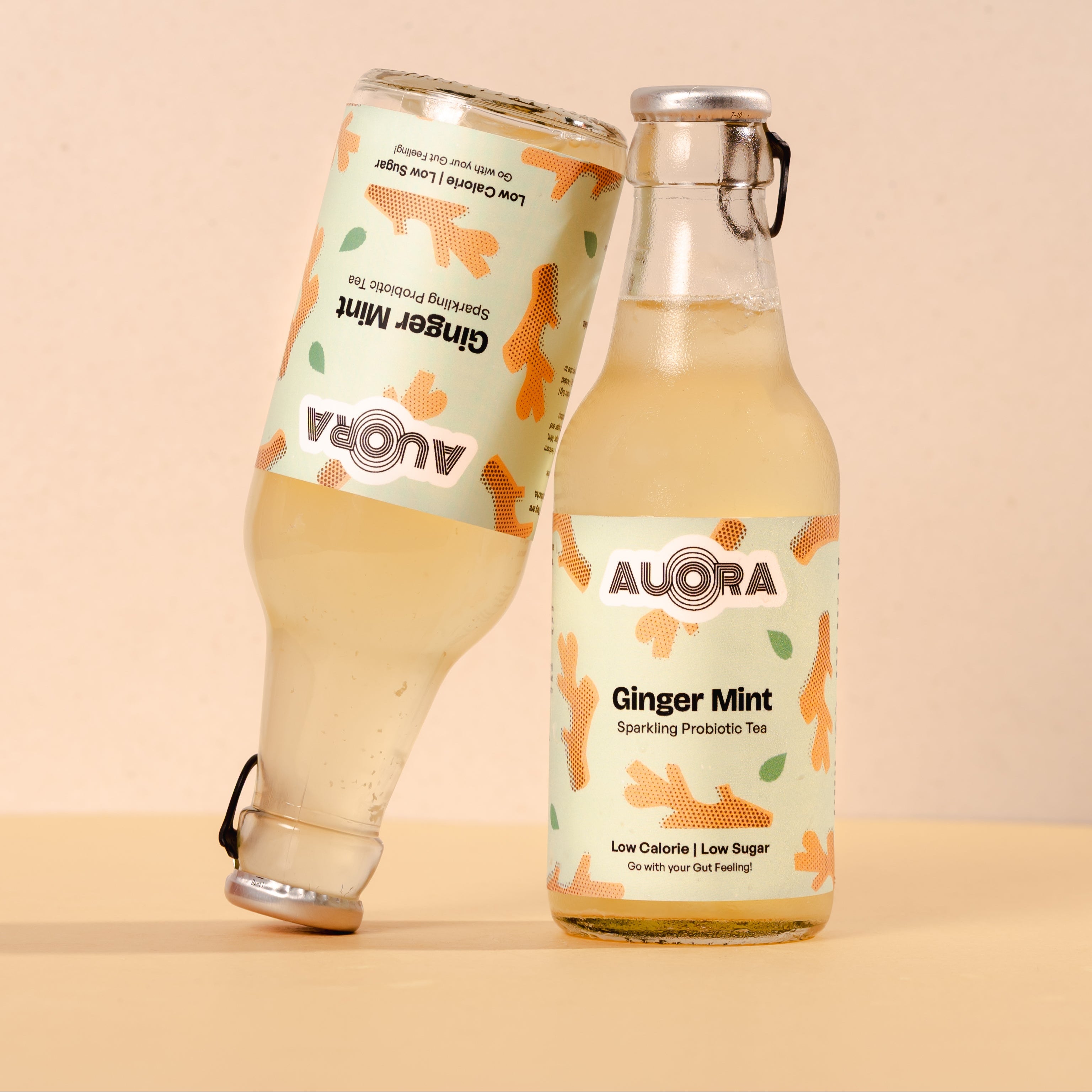 Ginger Mint Kombucha - Sparkling Probiotic Tea