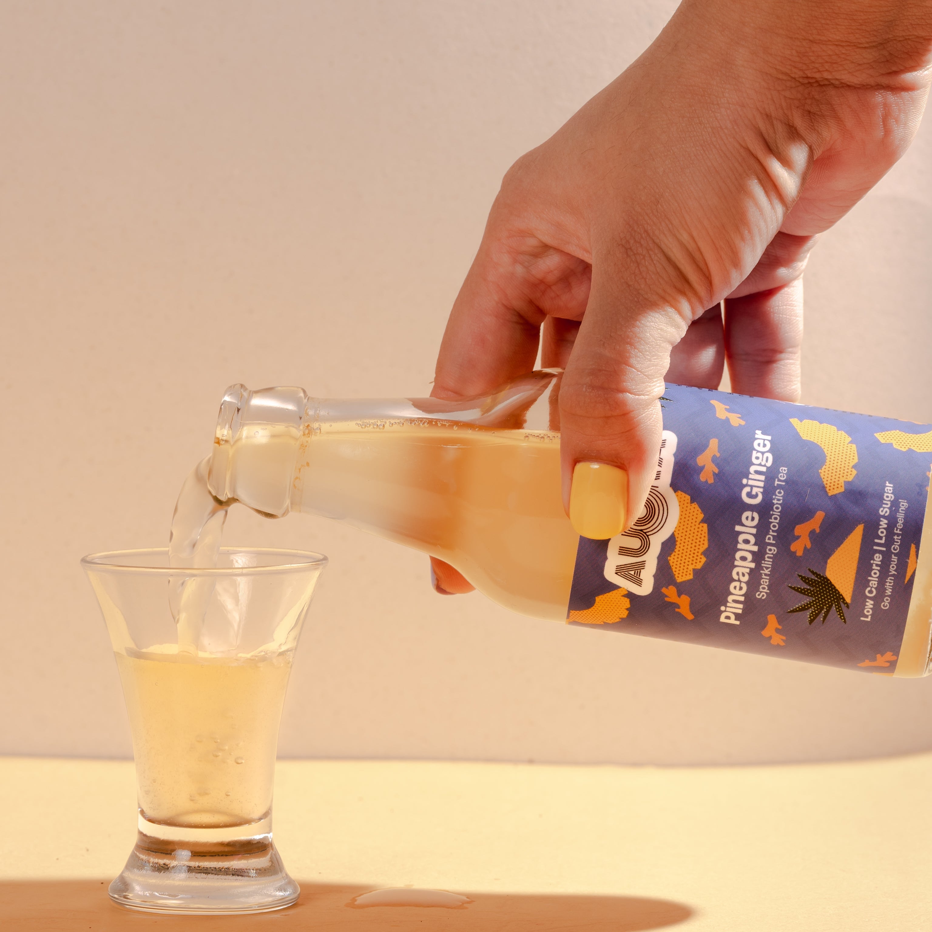 Ginger Mint Kombucha - Sparkling Probiotic Tea