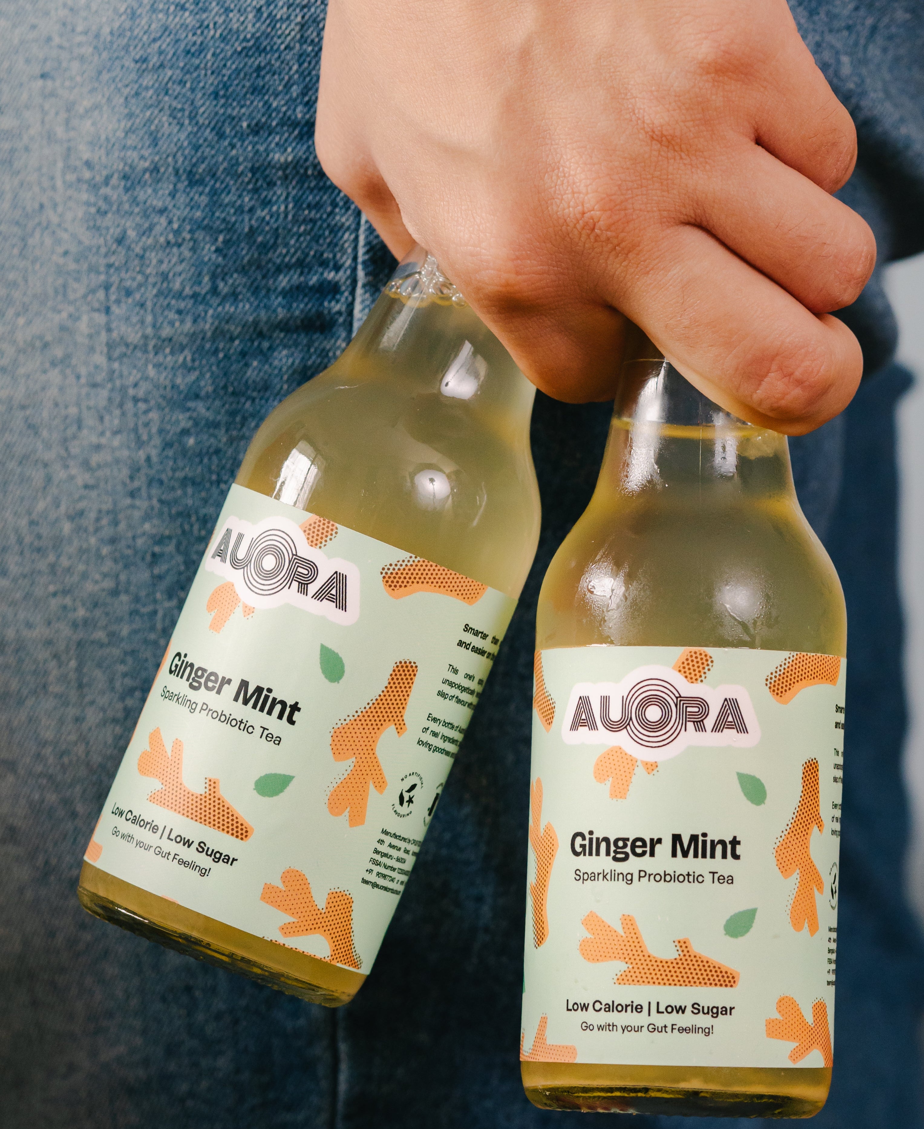 Ginger Mint Kombucha - Sparkling Probiotic Tea