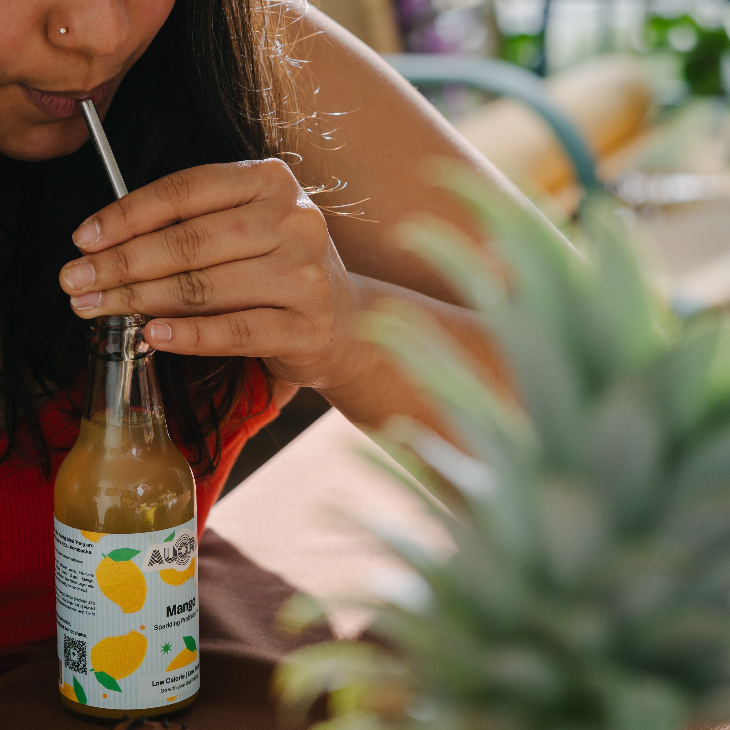 Mango Kombucha - Sparkling Probiotic Tea