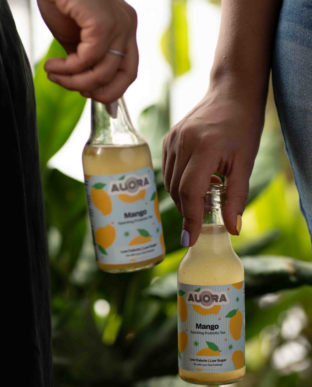 Mango Kombucha - Sparkling Probiotic Tea