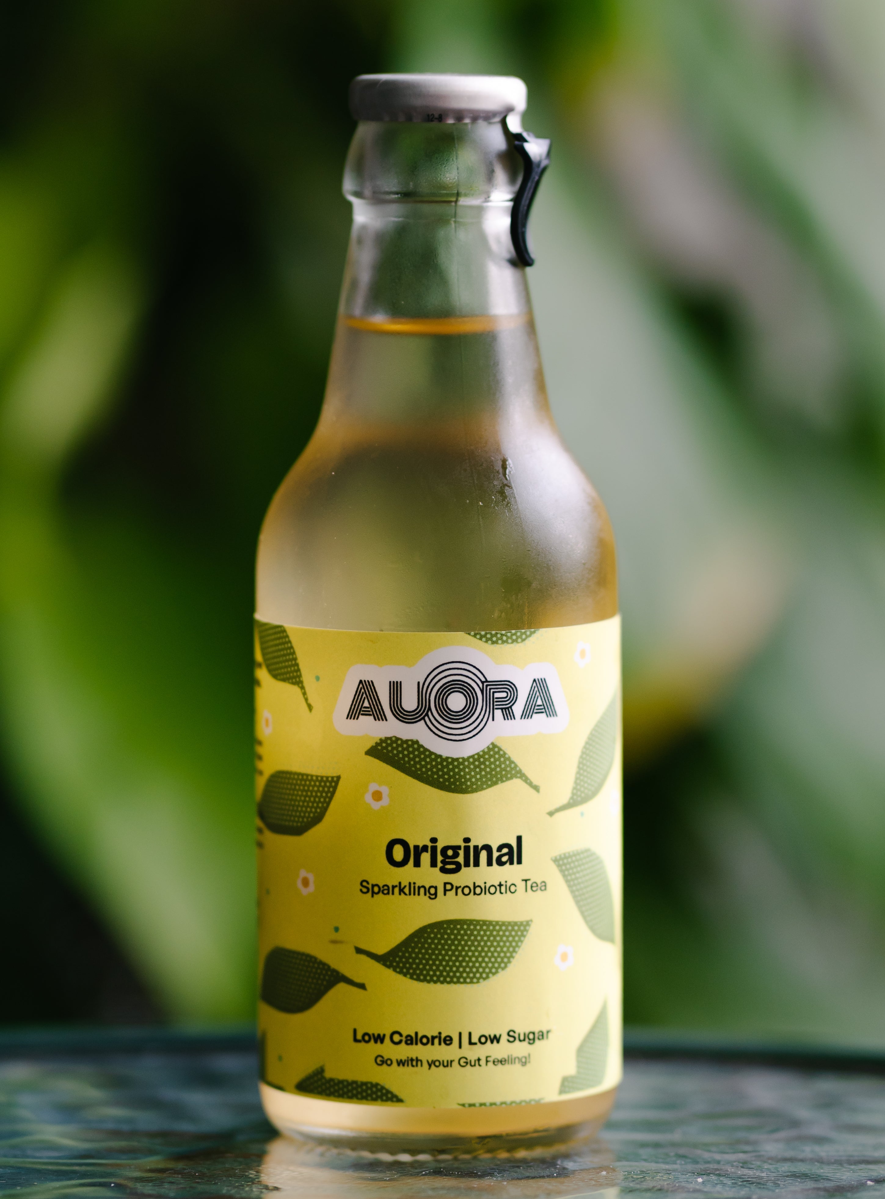 Original Kombucha - Sparkling Probiotic Tea